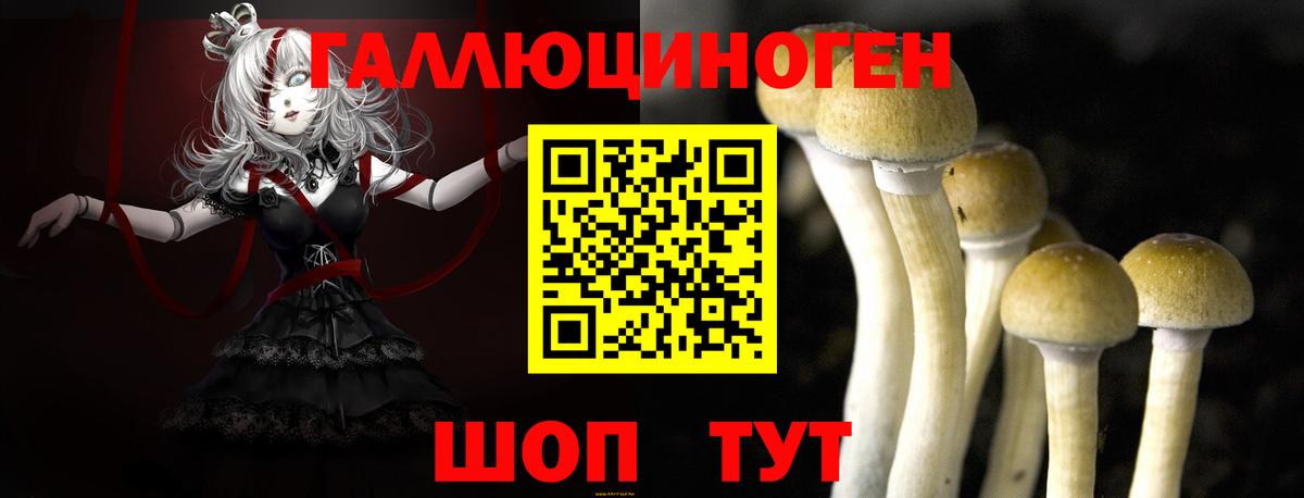 Южно-Сахалинск  наркошоп  Вход с VPN  Галлюциногенные грибы GOLDEN TEACHER 